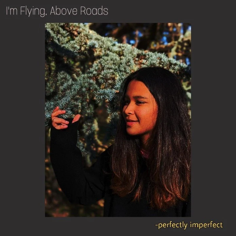 Perfectly Imperfect cover